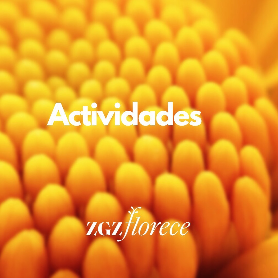 Cartel Zaragoza Florece 2023