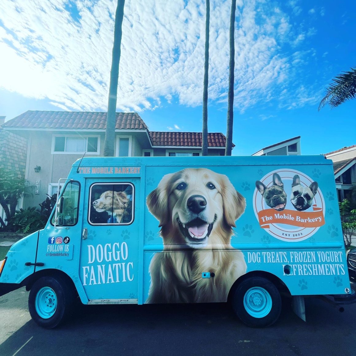 food truck franquicia