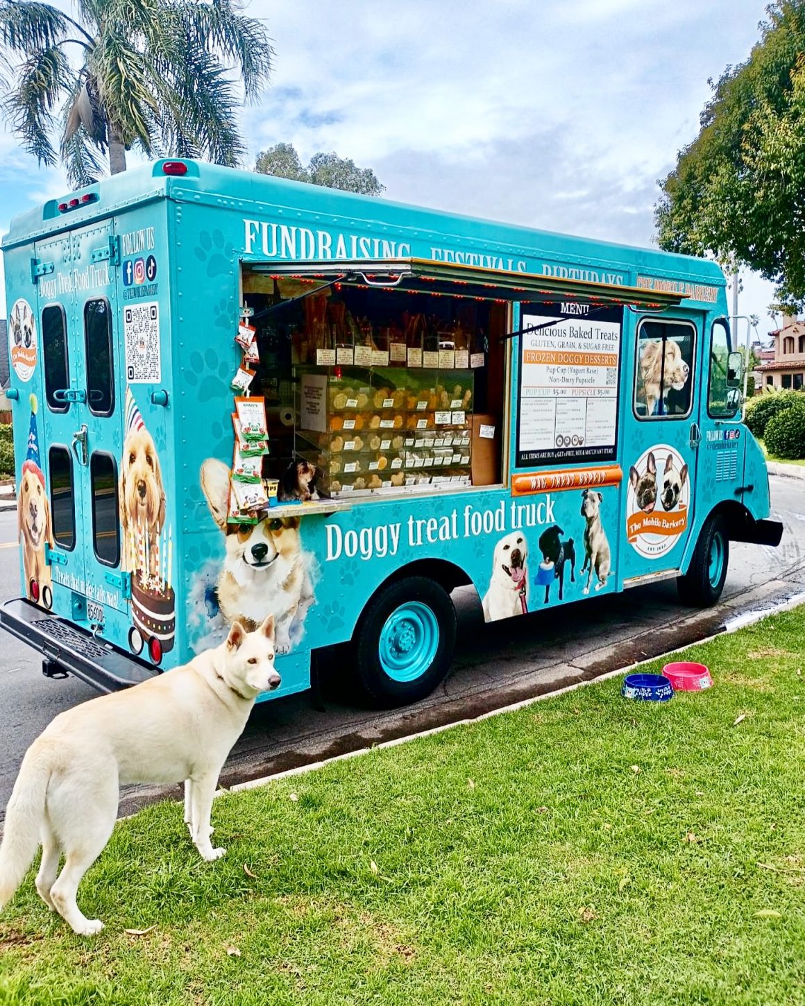 franquicia food truck para perros